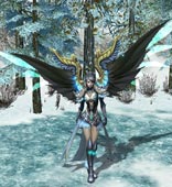 ����鿴��ͼ